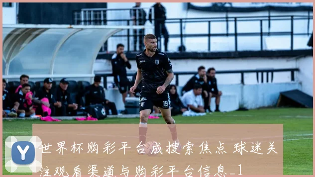世界杯购彩平台成搜索焦点 球迷关注观看渠道与购彩平台信息_1
