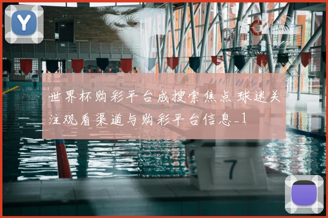 世界杯购彩平台成搜索焦点 球迷关注观看渠道与购彩平台信息_1