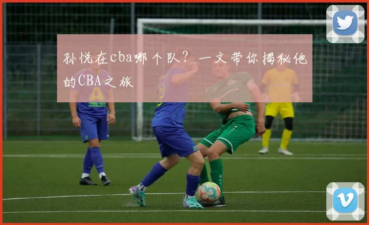 孙悦在cba哪个队？一文带你揭秘他的CBA之旅